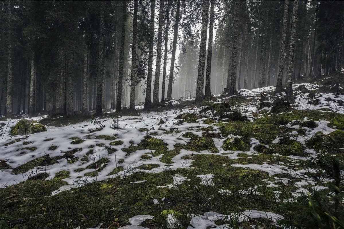 Domingo de cuentería · Salón Bambú